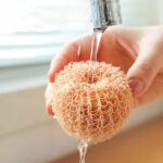 cute egg kitchen cleaning brush dishwashing brush