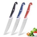 5 inch fruit knife comfortable grip stainless steel