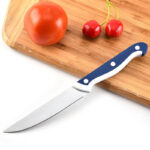 5 inch fruit knife comfortable grip stainless steel
