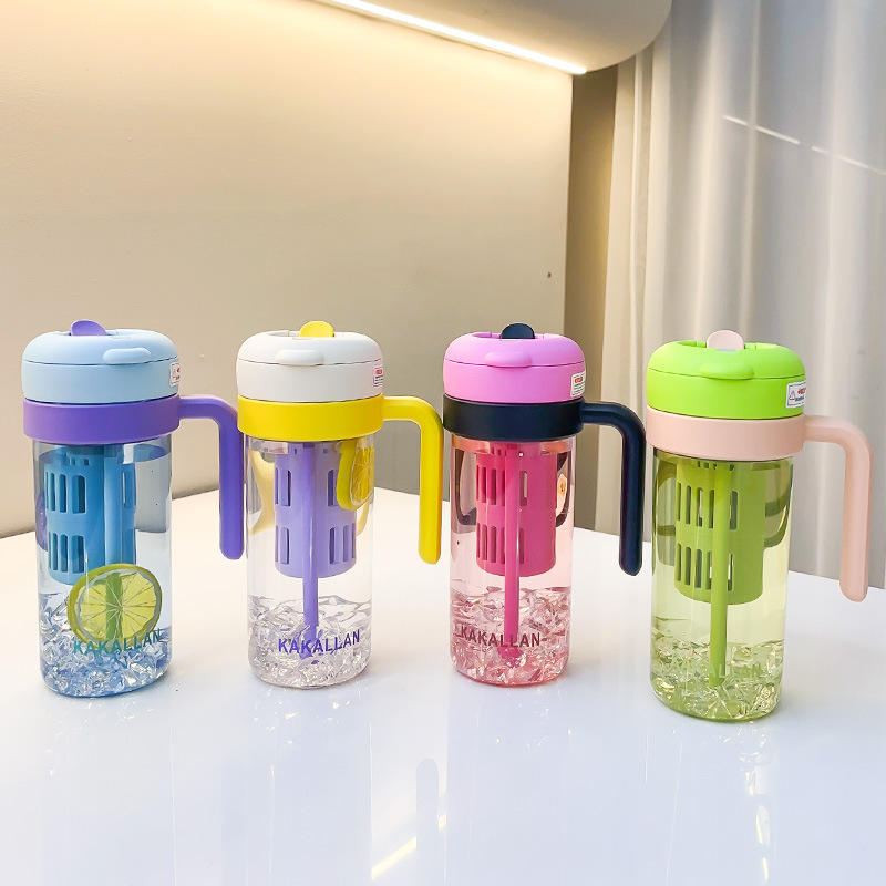 Portable Fruit Infuser Water Bottle With Side Handle