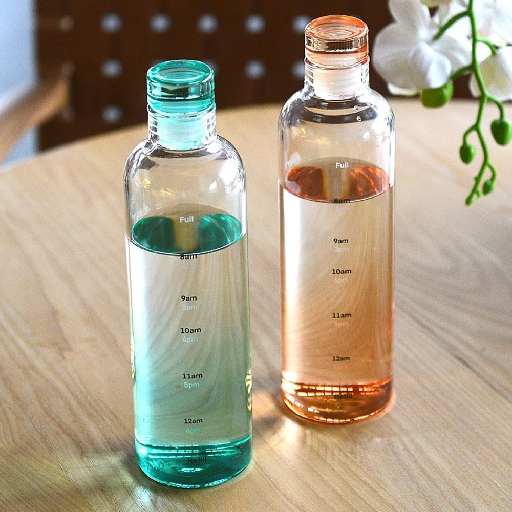 Premium Leakproof Borosilicate Glass Daily Hydration Bottle