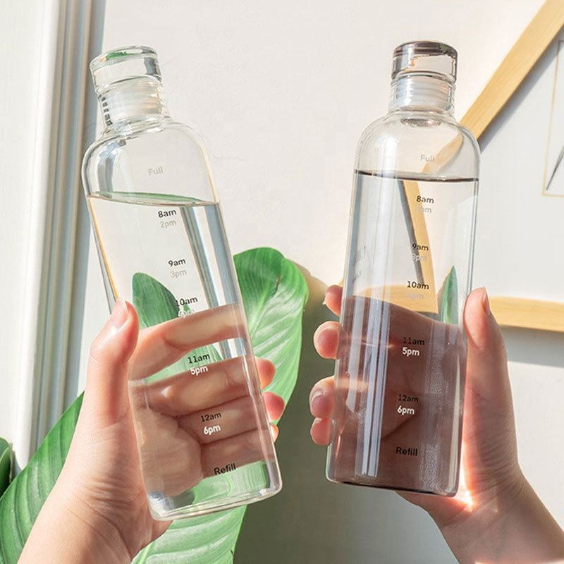 Premium Leakproof Borosilicate Glass Daily Hydration Bottle