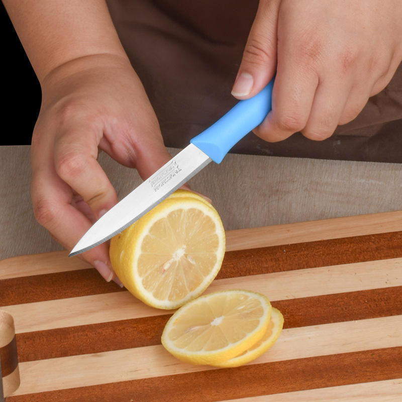 6PC FRUIT KNIFE SET